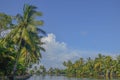 Beautiful Landscape at Alleppey backwaters Royalty Free Stock Photo
