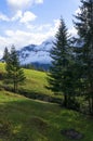 Beautiful landscape along the Jungfraujoch railway line. Royalty Free Stock Photo