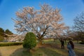 Beautiful landscape along the Kairakuen Royalty Free Stock Photo