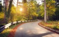 Beautiful landscape with asphalt road, green forest and road sign at colorful sunrise in summer. Crimean mountains. Royalty Free Stock Photo