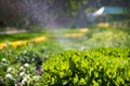 Beautiful landscape with automatic sprinkler spraying watering the lawn in the home garden with a rainbow in water drops Royalty Free Stock Photo