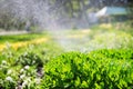 beautiful landscape with automatic sprinkler spraying watering the lawn in the home garden with a rainbow in water drops Royalty Free Stock Photo