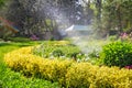 beautiful landscape with automatic sprinkler spraying watering the lawn in the home garden with a rainbow in water drops Royalty Free Stock Photo