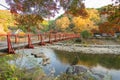 Beautiful landscape in autumn at Korankei, Japan Royalty Free Stock Photo