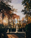 Beautiful landscape in autumn park, fountain, yellow colours, clear sky and sunshine. Nice season. Sunny warm day. Scenery