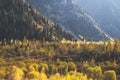 Beautiful landscape, autumn yellow forest and mountains. Kazakhstan Royalty Free Stock Photo