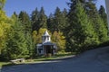 Beautiful landscape with autumnal venerable pine tree and old chapel, located in Old park Tsarska or Royal Bistritsa