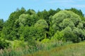 Landscape Photo - Green Field, Clouds And Blue Sky. Nature, Ecology, Travel Concept. Royalty Free Stock Photo