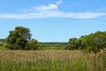 Landscape Photo - Green Field, Clouds And Blue Sky. Nature, Ecology, Travel Concept. Royalty Free Stock Photo