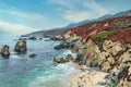 Beautiful landscape, beach and cove, Garrapata State Park, Big Sur, California, USA Royalty Free Stock Photo