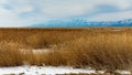 Beautiful Landscape, Bear River Migratory Bird Refuge Royalty Free Stock Photo
