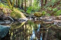 Beautiful landscape, bed of a mountain river with reflection and a stream of clear water in the shade of trees in a Royalty Free Stock Photo