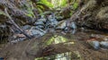 Beautiful landscape, bed of a mountain river with reflection and a stream of clear water in the shade of trees in a California Royalty Free Stock Photo