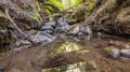 Beautiful landscape, bed of a mountain river with reflection and a stream of clear water in the shade of trees in a California Royalty Free Stock Photo