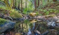Beautiful landscape, bed of a mountain river with reflection and a stream of clear water in the shade of trees in a California Royalty Free Stock Photo