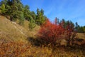 Beautiful landscape of the beginning of autumn on the river bank. Royalty Free Stock Photo