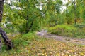 Beautiful landscape of the beginning of autumn on the river bank. Royalty Free Stock Photo