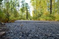 Beautiful landscape of the beginning of autumn on the river bank. Royalty Free Stock Photo