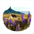 Beautiful landscape of blooming lupine flowers in Iceland. Royalty Free Stock Photo