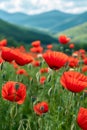 Beautiful landscape of blooming red poppies in a meadow - AI Generated Royalty Free Stock Photo