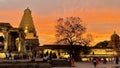 A beautiful landscape of Brihadeeswara Temple and its temple tree in a sunset