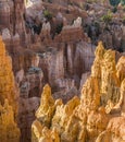 Beautiful landscape in Bryce Canyon Royalty Free Stock Photo