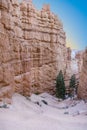 Beautiful landscape in Bryce Canyon with magnificent Stone formation, walking path to explore the area Royalty Free Stock Photo