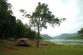 Camping tents at the outdoor camp site near the river Royalty Free Stock Photo