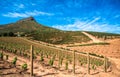 Beautiful landscape of Cape Winelands, wine growing region in South Africa Royalty Free Stock Photo