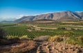 Beautiful landscape of Cape Winelands, wine growing region in South Africa Royalty Free Stock Photo