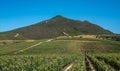 Beautiful landscape of Cape Winelands, wine growing region in South Africa Royalty Free Stock Photo