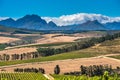 Beautiful landscape of Cape Winelands, wine growing region in South Africa Royalty Free Stock Photo