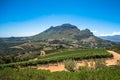 Beautiful landscape of Cape Winelands, wine growing region in South Africa Royalty Free Stock Photo