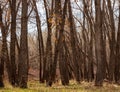 Beautiful landscape in Cherry Creek State Park and Reservoir at a spring sunny day Royalty Free Stock Photo