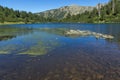 Landscape with clear waters of Fish Vasilashko lake, Pirin Mountain, Bulgaria