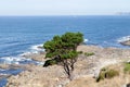 Beautiful landscape of the coast of Bayona Royalty Free Stock Photo