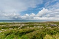 Beautiful landscape of the coast with limestone rocks with grass next to the Fanore beach