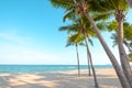 Beautiful landscape of coconut palm tree on tropical beach