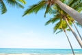 Beautiful landscape of coconut palm tree on tropical beach seascape in summer. Royalty Free Stock Photo