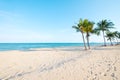 Beautiful landscape of coconut palm tree on tropical beach