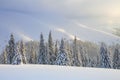 Beautiful landscape on the cold winter morning. High mountain. Pine trees in the snowdrifts. Lawn and forests. Snowy background. Royalty Free Stock Photo