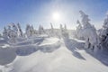 Beautiful landscape on the cold winter morning. High mountain. Pine trees in the snowdrifts. Lawn and forests. Snowy background. Royalty Free Stock Photo