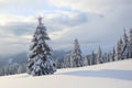 Beautiful landscape on the cold winter morning. Lawn and forests. Location the Carpathian Mountains, Ukraine, Europe Royalty Free Stock Photo