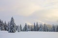 Beautiful landscape on the cold winter morning. Lawn and forests. Location the Carpathian Mountains, Ukraine, Europe Royalty Free Stock Photo