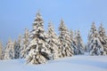 Beautiful landscape on the cold winter morning. Lawn and forests. Location the Carpathian Mountains, Ukraine, Europe Royalty Free Stock Photo