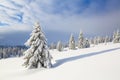 Beautiful landscape on the cold winter morning. Lawn and forests. Location place the Carpathian Mountains, Ukraine, Europe Royalty Free Stock Photo