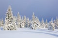 Beautiful landscape on the cold winter morning. Lawn and forests. Location place the Carpathian Mountains, Ukraine, Europe Royalty Free Stock Photo