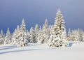 Beautiful landscape on the cold winter morning. Lawn and forests. Location place the Carpathian Mountains, Ukraine, Europe Royalty Free Stock Photo