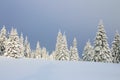 Beautiful landscape on the cold winter morning. Lawn and forests. Location place the Carpathian Mountains, Ukraine, Europe Royalty Free Stock Photo