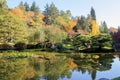 Full of beautiful fall colors at Japanese Garden, Seattle Washington Royalty Free Stock Photo